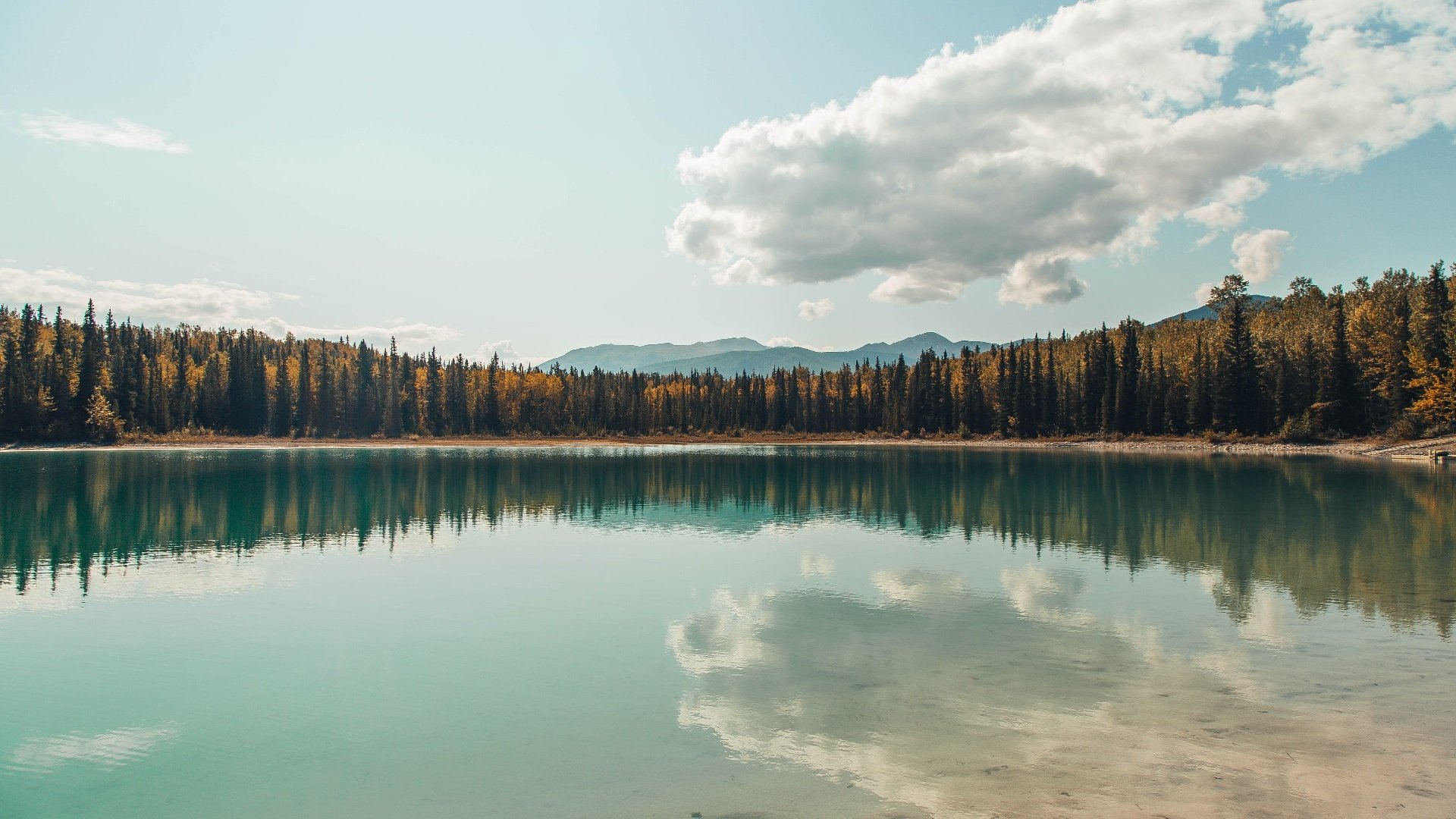 im体育官网首页-深度解析：本赛季争冠形势如何演变？，本赛季冠军