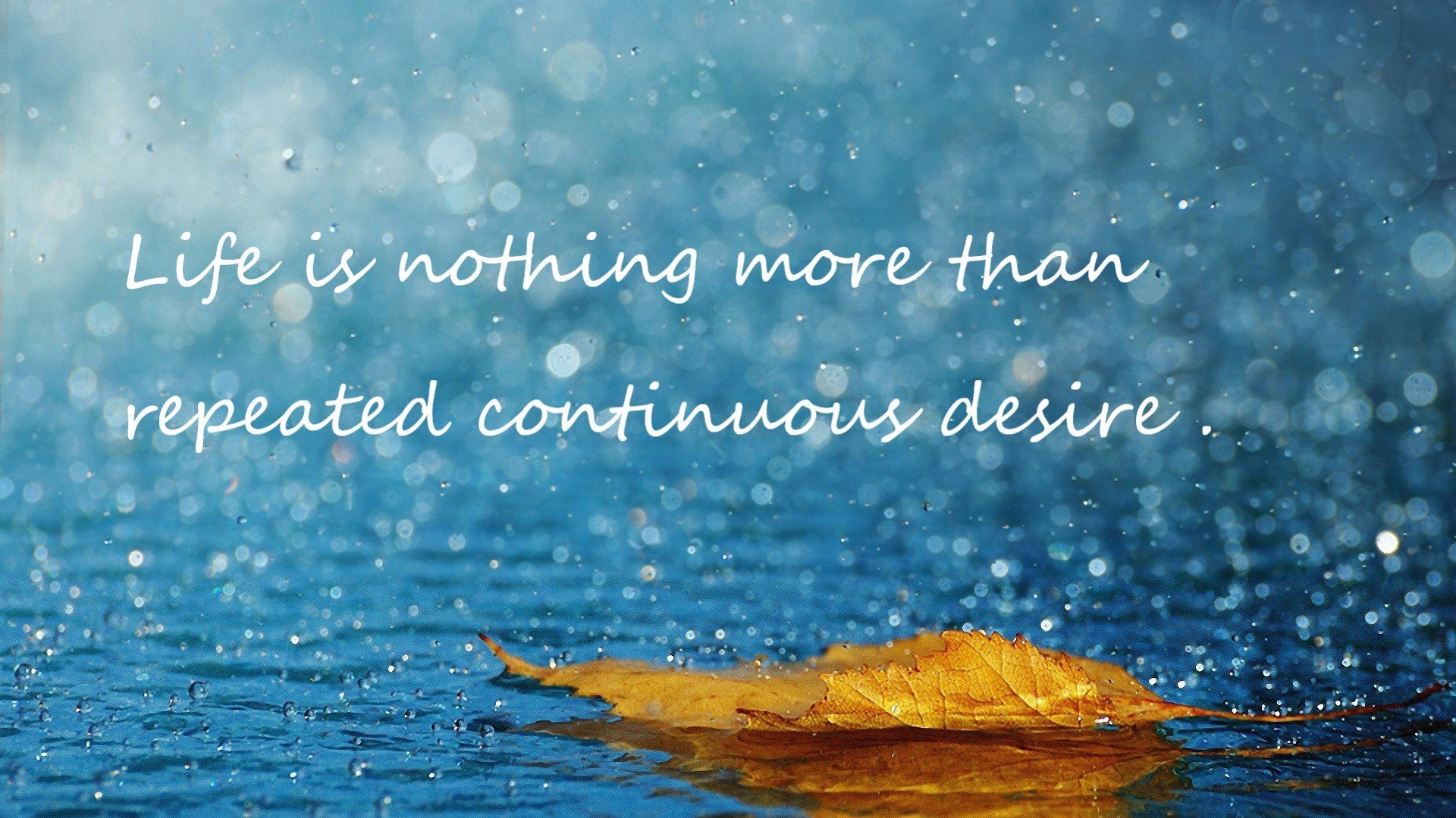 田径世锦赛刘翔担任解说嘉宾，网友怀旧刷屏，刘翔第一次获得世界田径锦标赛冠军