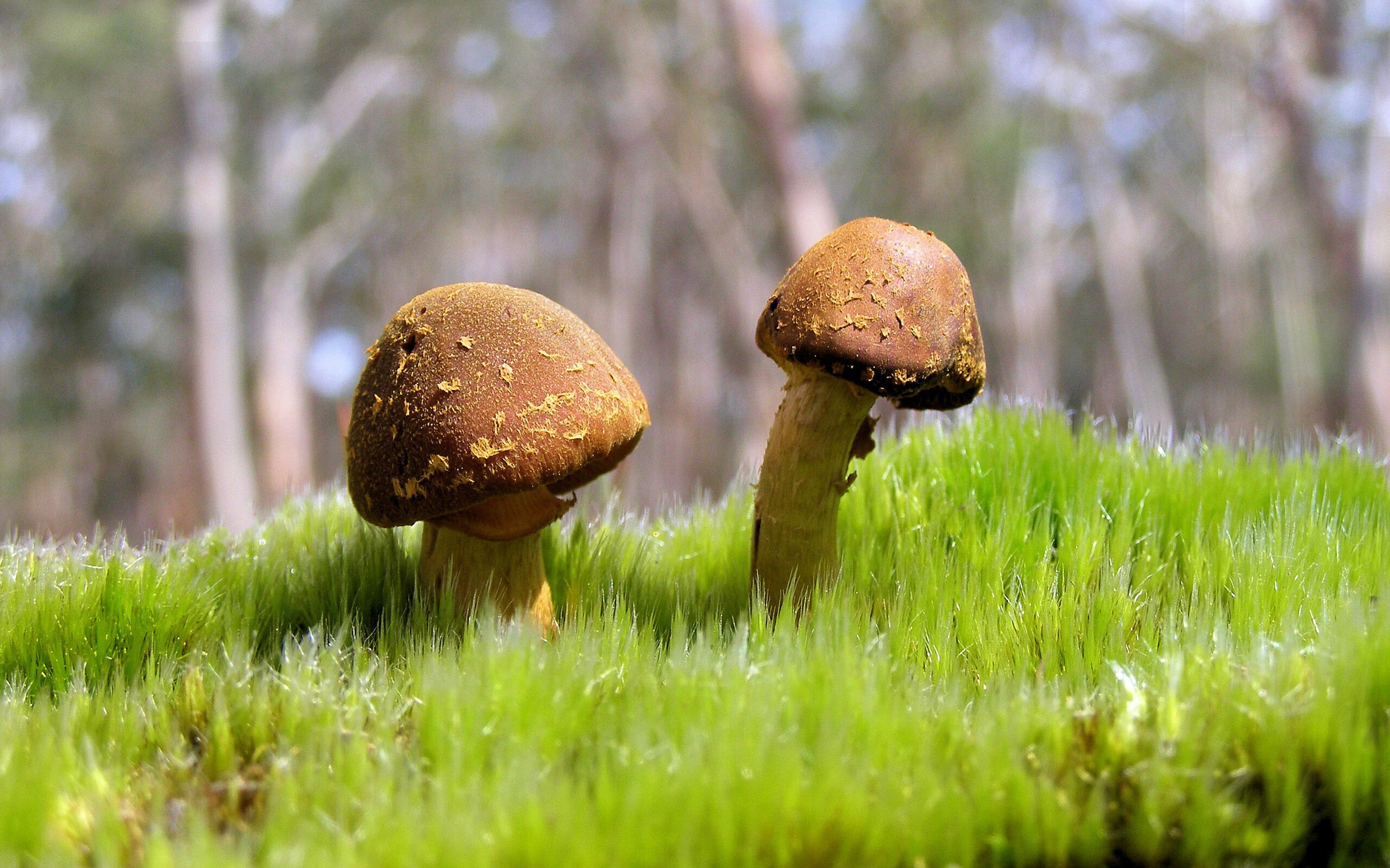 田径项目试行电子辅助判罚,首次应用获好评,田径比赛电子设备