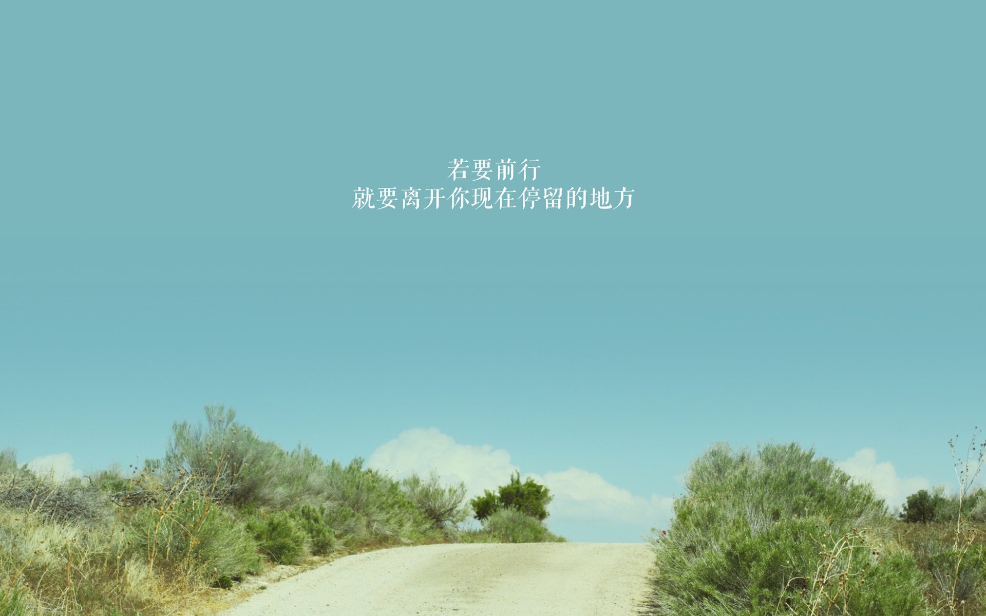 足球的演变史:从泥地到现代化球场,足球演变图