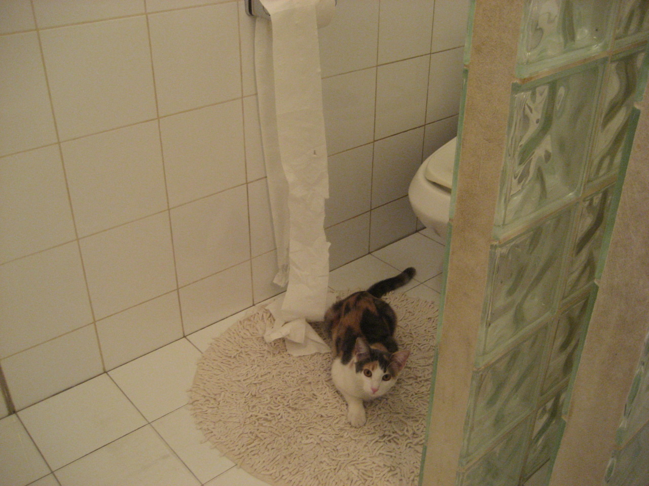 LCK联盟推动电竞运动员社会保障体系建设,职业电竞运动员年薪多少