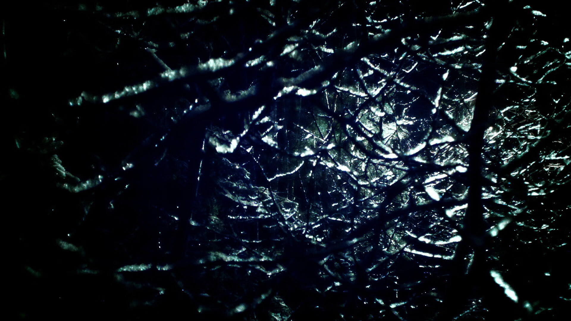 im体育下载-冠军赛彰显豪华阵容，对决实力悬殊谁将笑傲江湖，笑傲江湖冠军亚军季军