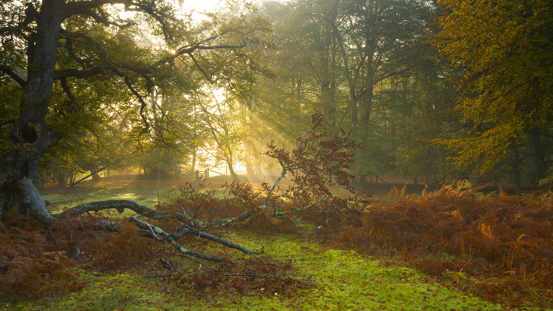 快船击败雷霆，常规赛巅峰对决中乔治连续抢断建功，快船乔治打什么位置