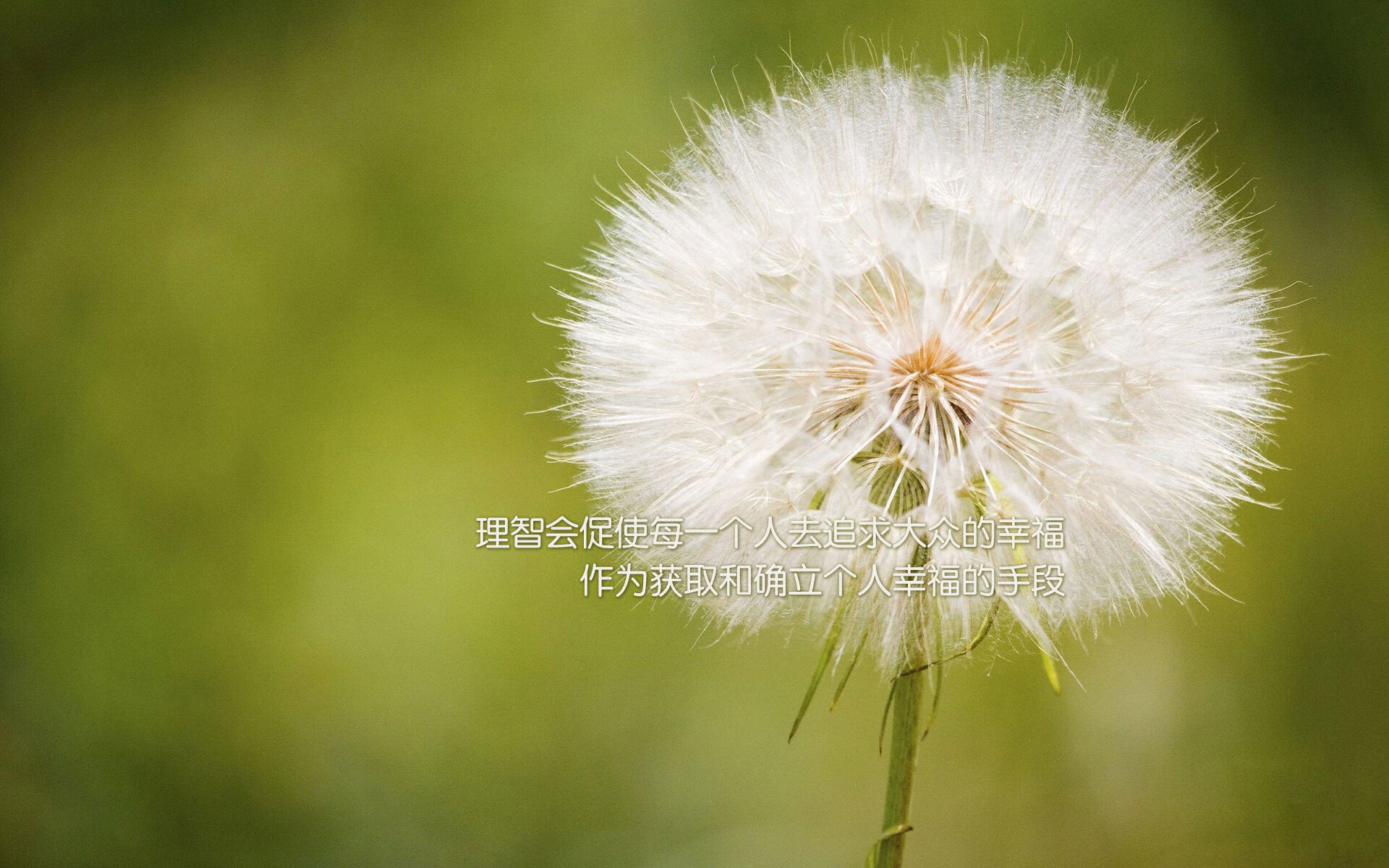 维达德卡萨布兰卡球员伤愈复出,助力球队冲击冠军,卡萨布兰卡 知乎