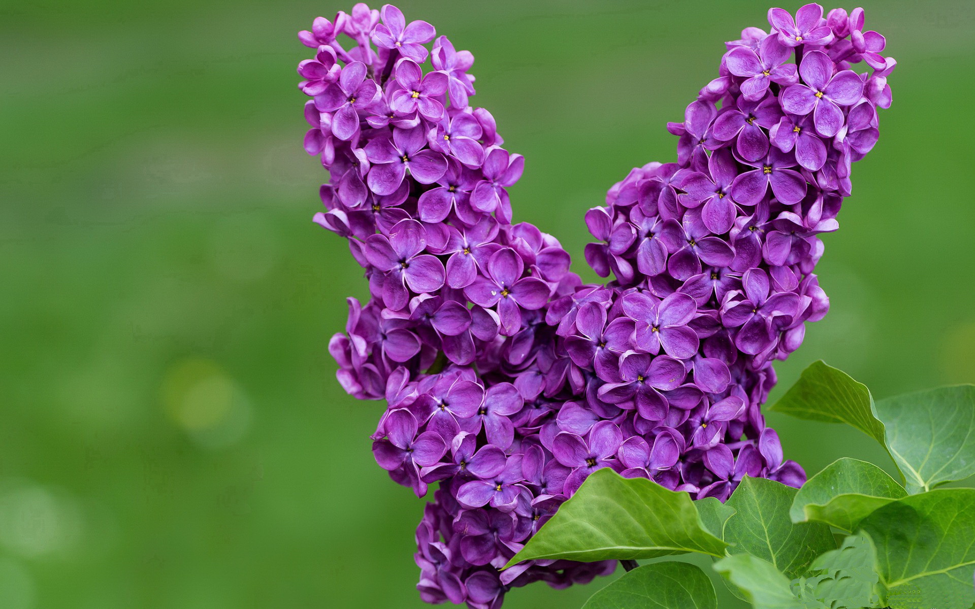 IM体育平台-足球热潮席卷，女足影响力扩展，女足球运动