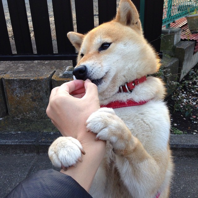 IM体育下载-五大联赛是否更多使用边锋反跑牵制战术布局，五大联赛是否更多使用边锋反跑牵制战术布局的球队