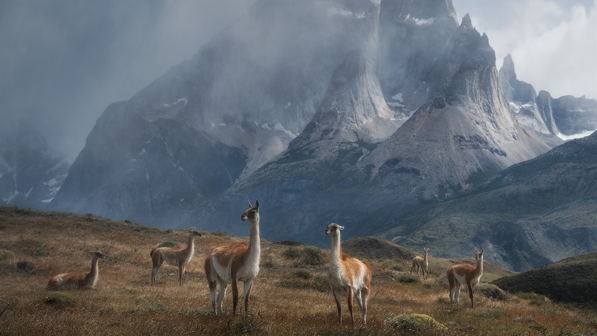 加拿大队在国际乒联混合团体世界杯中的团队精神与个人技术，2021加拿大乒乓球国家队