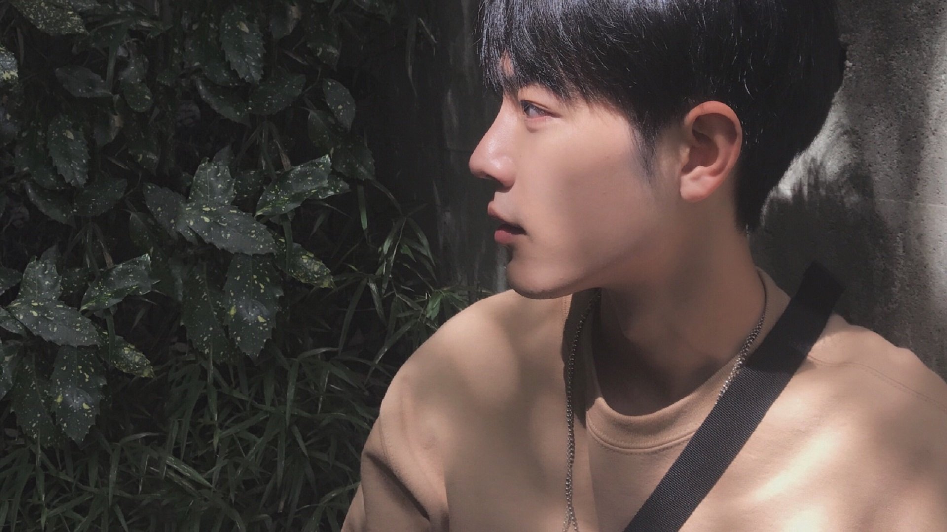 im体育官网首页-运动员个人品牌打造成为发展新方向，运动员的牌子叫什么