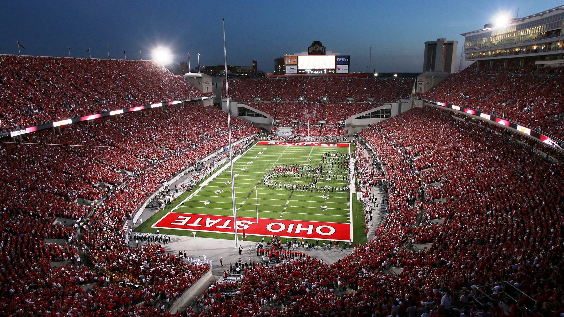 丹·卡特：纵深视野与全局掌控，成就全黑队霸业，丹特什么水平