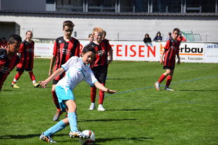 im体育下载-未来足球场馆实现“碳中和”目标，绿色科技应用成果显著