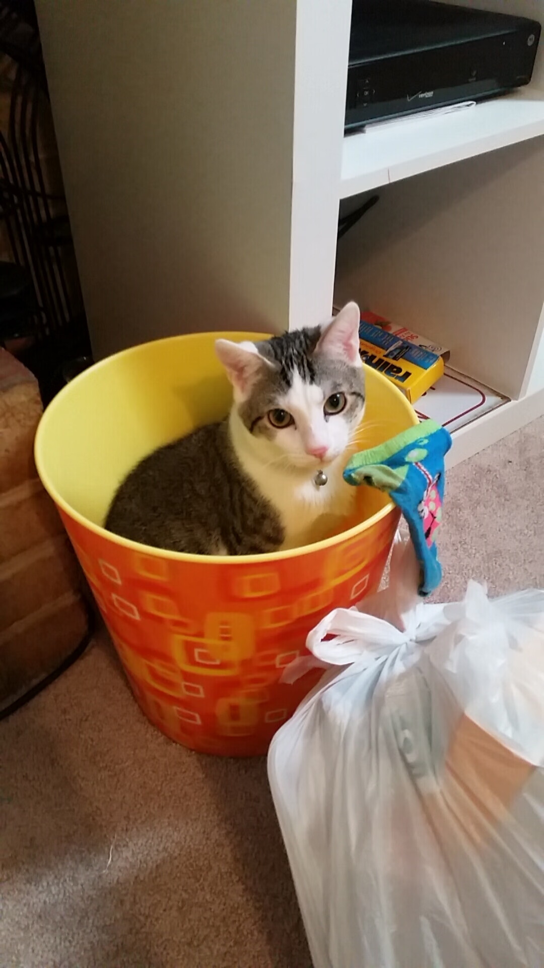 步行者继续培养新秀未来可期，步行者未来选秀权